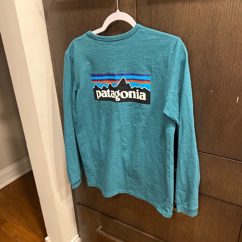 Patagonia Shirt Adult Small Teal Long Sleeve Fitz Roy‎ Print Logo